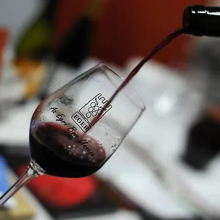 Appartement Szilvasi's Smart